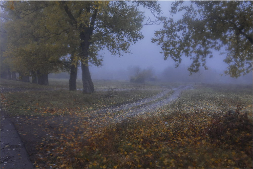 Фотографія Пейзаж / Андрій Кадигроб / photographers.ua