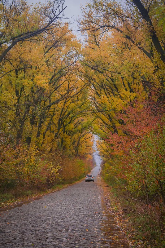 Фотографія Пейзаж / Андрій Кадигроб / photographers.ua