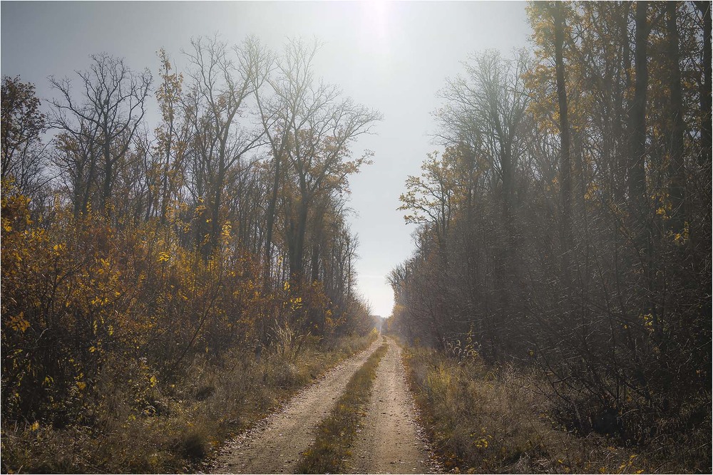 Фотографія Пейзаж / Андрій Кадигроб / photographers.ua