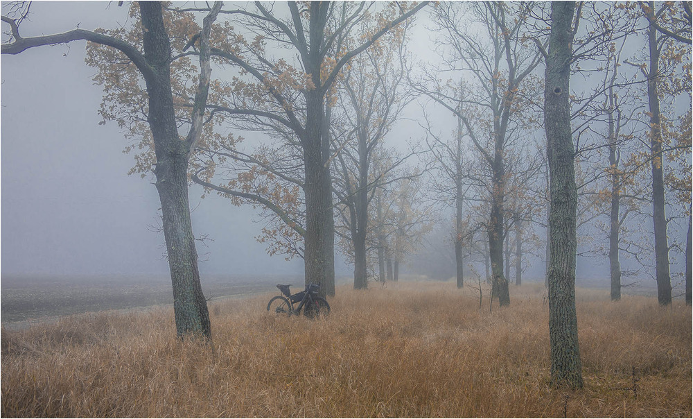 Фотографія Пейзаж / Андрій Кадигроб / photographers.ua