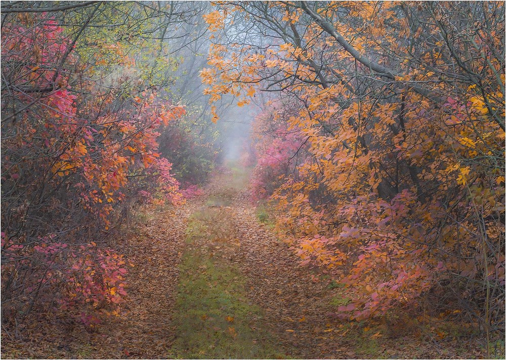 Фотографія Пейзаж / Андрій Кадигроб / photographers.ua