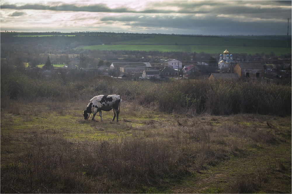 Фотографія Пейзаж / Андрій Кадигроб / photographers.ua