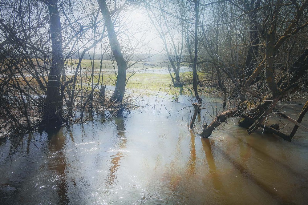 Фотографія Пейзаж / Андрій Кадигроб / photographers.ua