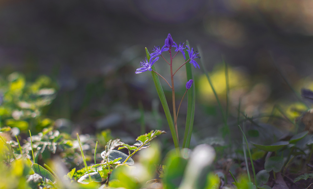 Фотографія Пейзаж / Андрій Кадигроб / photographers.ua