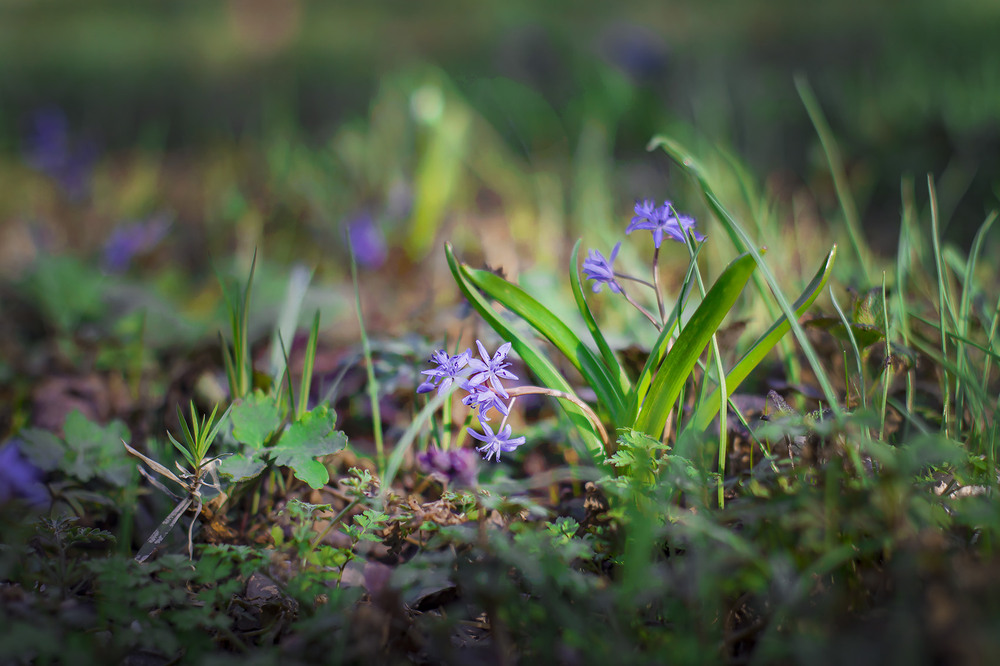 Фотографія Пейзаж / Андрій Кадигроб / photographers.ua