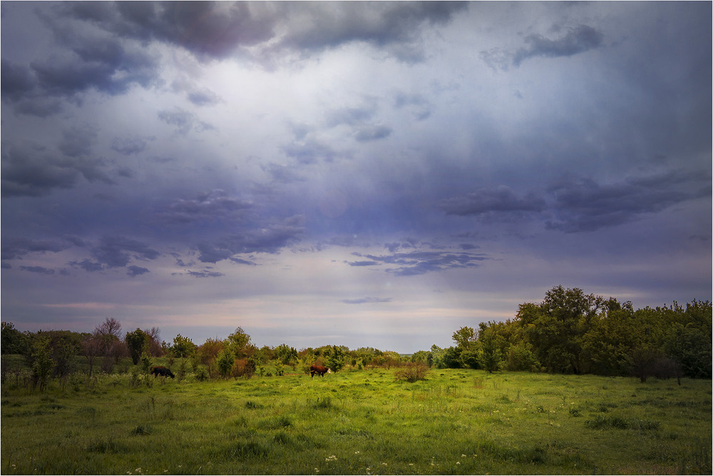 Фотографія Пейзаж / Андрій Кадигроб / photographers.ua