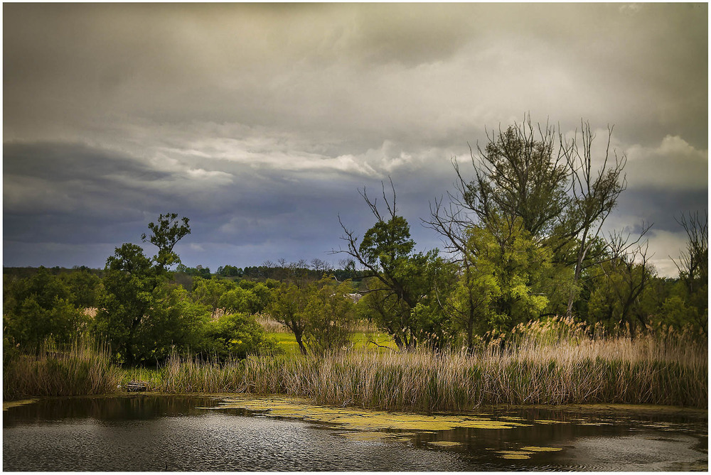 Фотографія Пейзаж / Андрій Кадигроб / photographers.ua