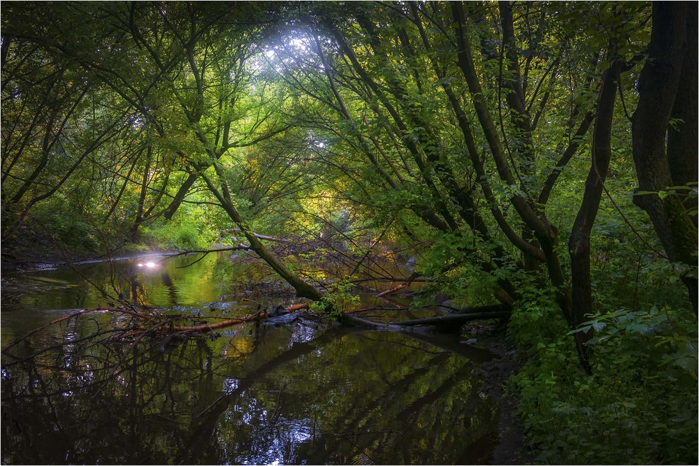 Фотографія Пейзаж / Андрій Кадигроб / photographers.ua