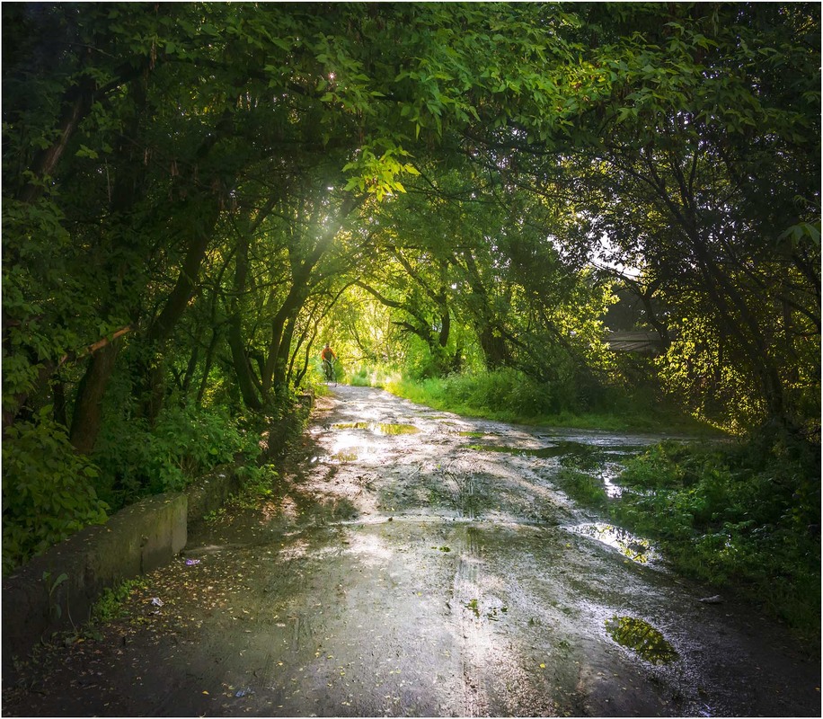 Фотографія Пейзаж / Андрій Кадигроб / photographers.ua