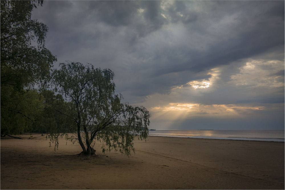 Фотографія Пейзаж / Андрій Кадигроб / photographers.ua