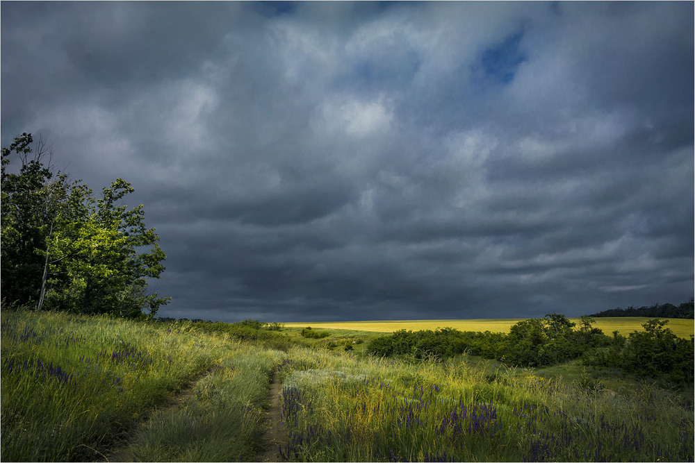 Фотографія Пейзаж / Андрій Кадигроб / photographers.ua
