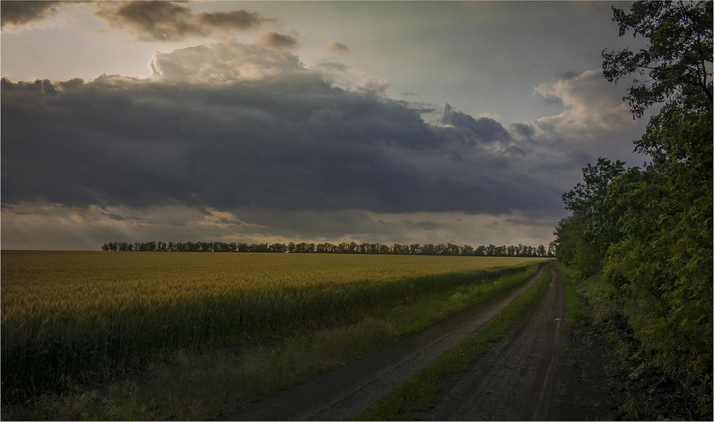 Фотографія Пейзаж / Андрій Кадигроб / photographers.ua