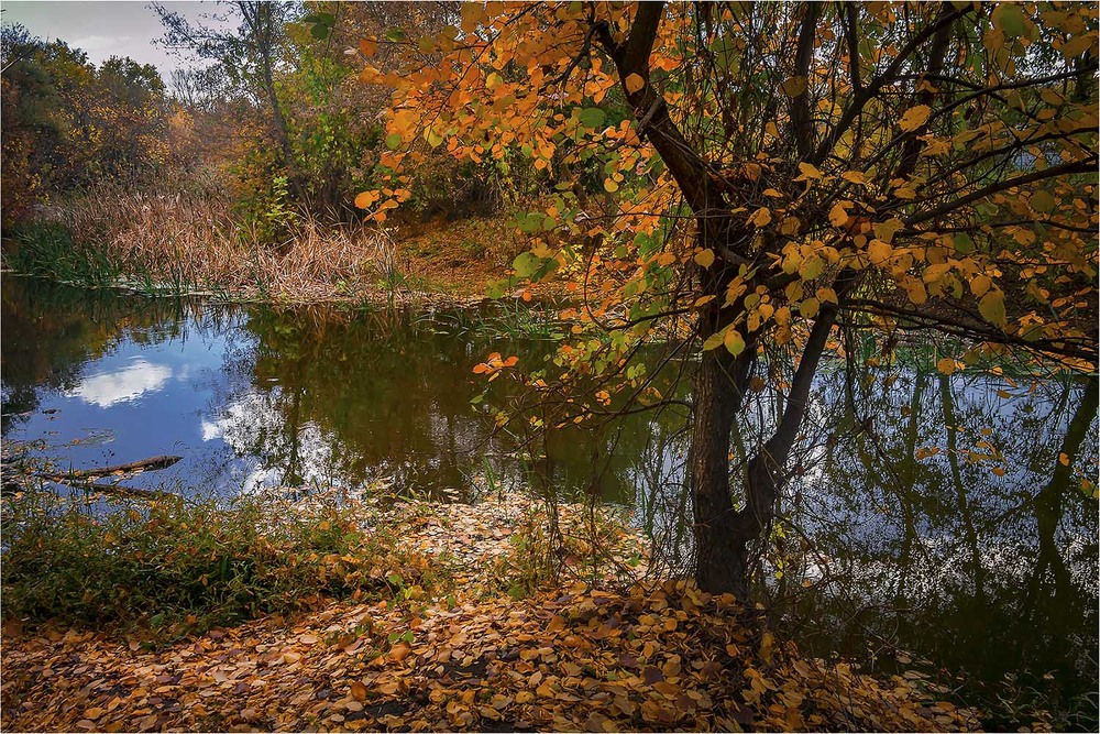 Фотографія Пейзаж / Андрій Кадигроб / photographers.ua