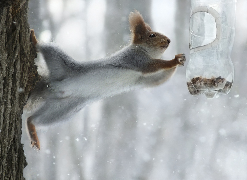 Фотографія Эквилибристка / Тетяна Чирва / photographers.ua
