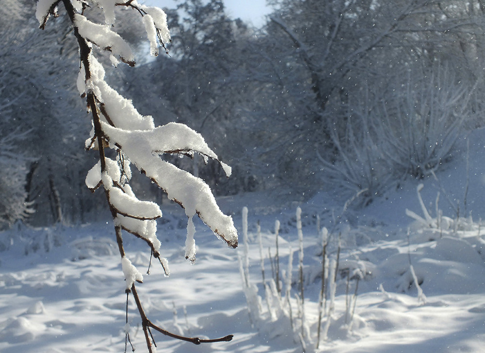 Фотографія зимние зарисовки... / Тетяна Чирва / photographers.ua