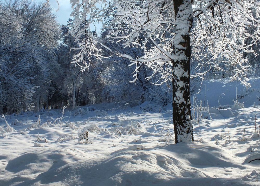 Фотографія взимку / Тетяна Чирва / photographers.ua