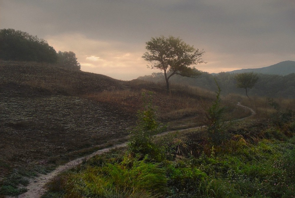 Фотографія как то утром... / Тетяна Чирва / photographers.ua