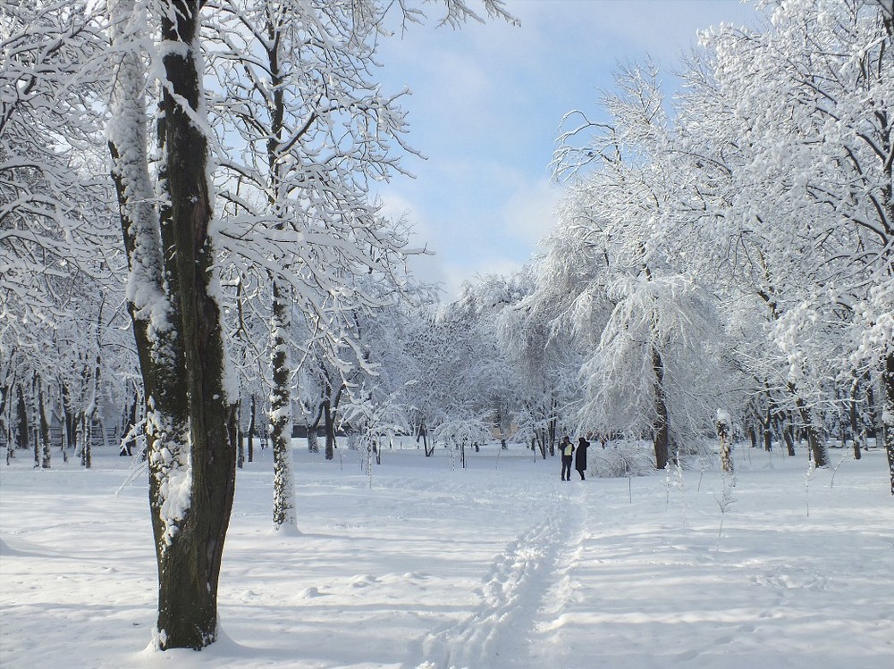 Фотографія Дніпро взимку (2) / Тетяна Чирва / photographers.ua