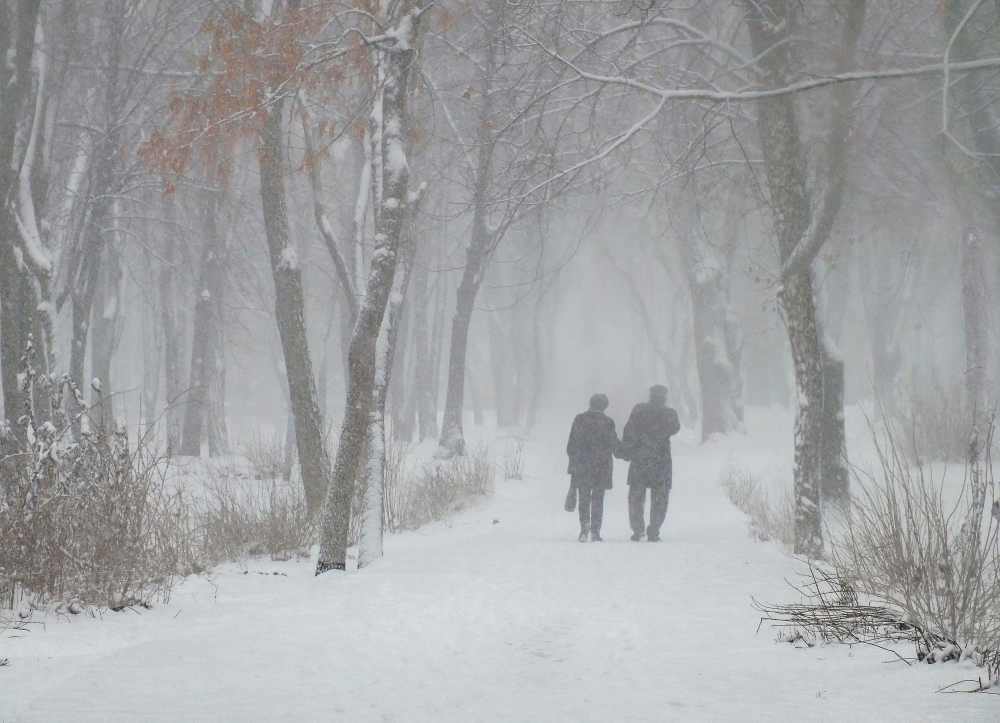 Фотографія *** / Тетяна Чирва / photographers.ua