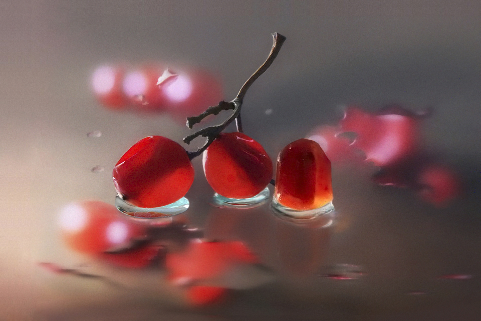 Фотографія клюква / Тетяна Чирва / photographers.ua