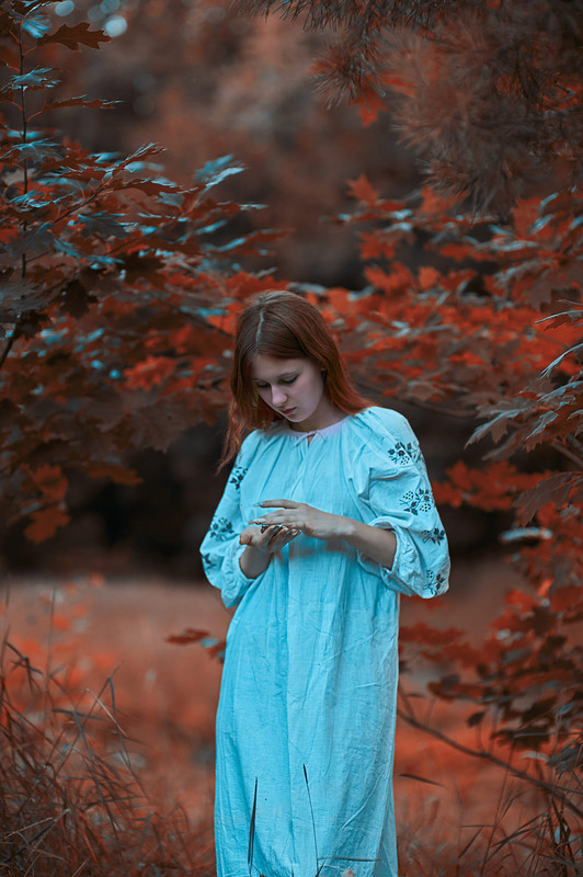 Фотографія В казковому лісі / marimo / photographers.ua