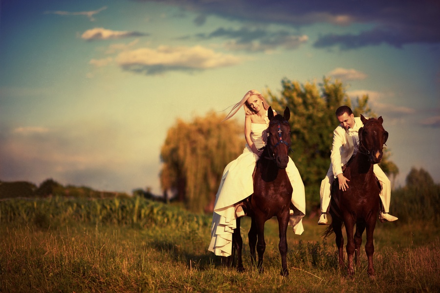 Фотографія Wedding / Исаков Роман / photographers.ua