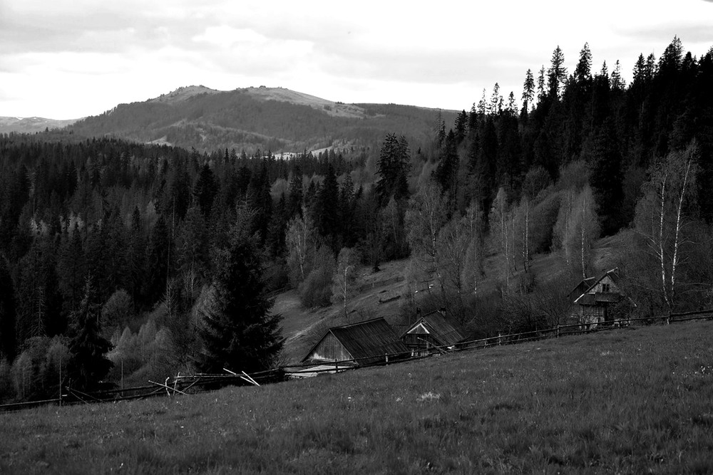 Фотографія Разное / Akila / photographers.ua