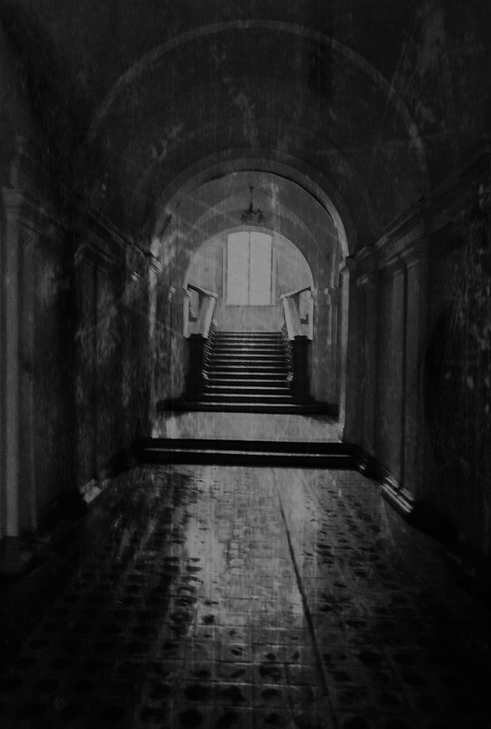 Фотографія Разное / Akila / photographers.ua