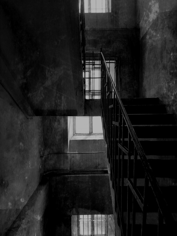 Фотографія Разное / Akila / photographers.ua