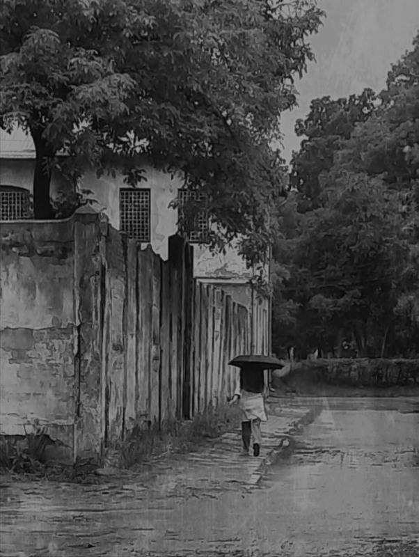 Фотографія Разное / Akila / photographers.ua