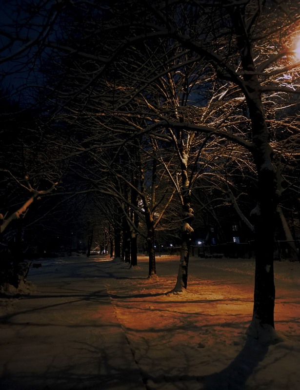 Фотографія Разное / Akila / photographers.ua