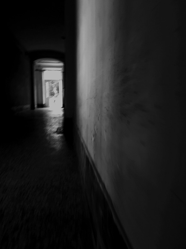 Фотографія Разное / Akila / photographers.ua