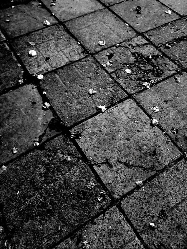 Фотографія Разное / Akila / photographers.ua