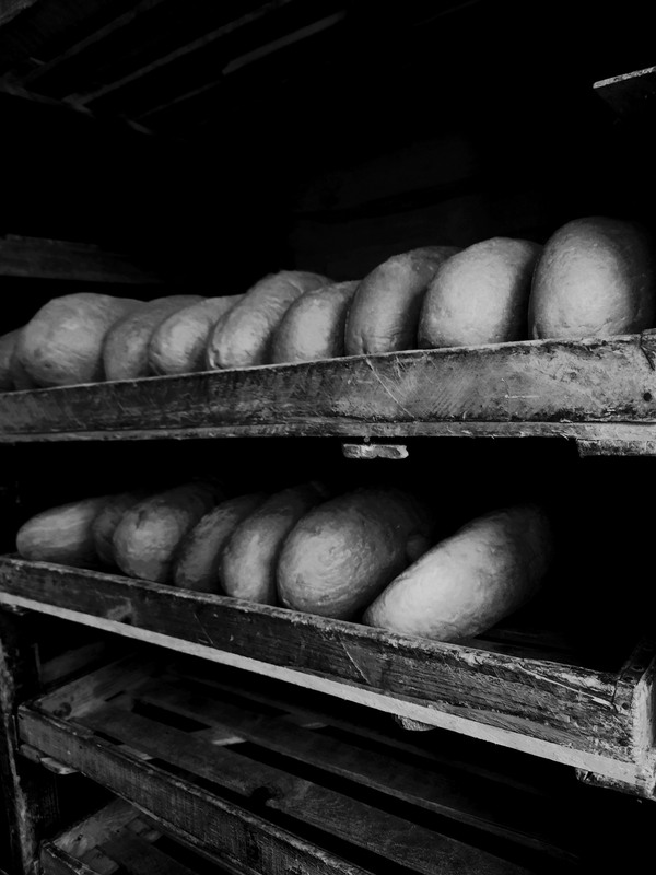 Фотографія Разное / Akila / photographers.ua