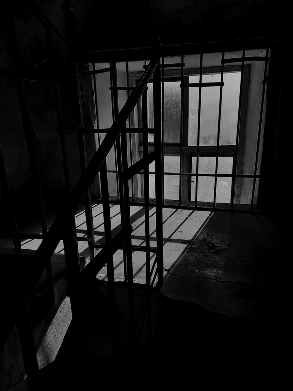 Фотографія Разное / Akila / photographers.ua