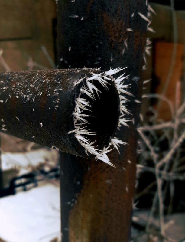 Фотографія Разное / Akila / photographers.ua