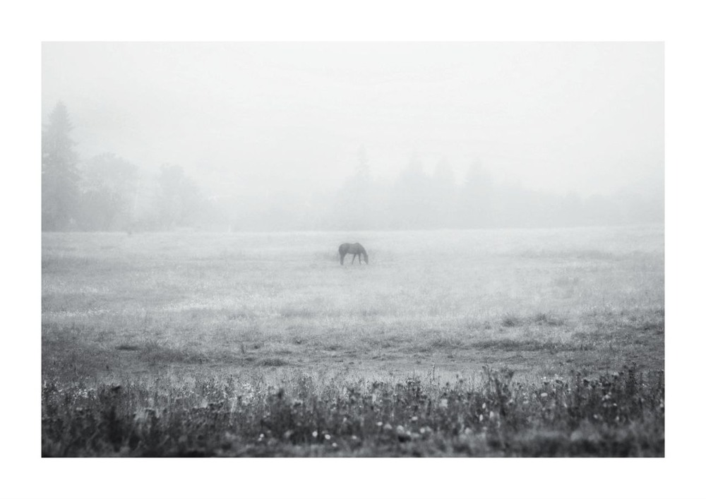 Фотографія Жанр / Олесь Ворона / photographers.ua