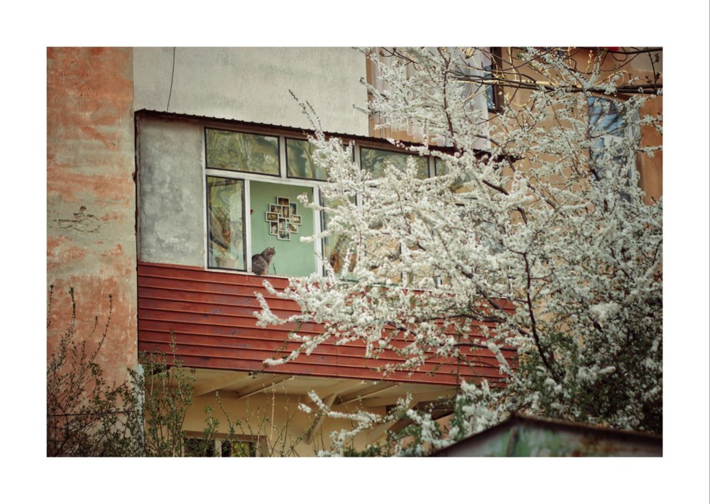 Фотографія Жанр / Олесь Ворона / photographers.ua