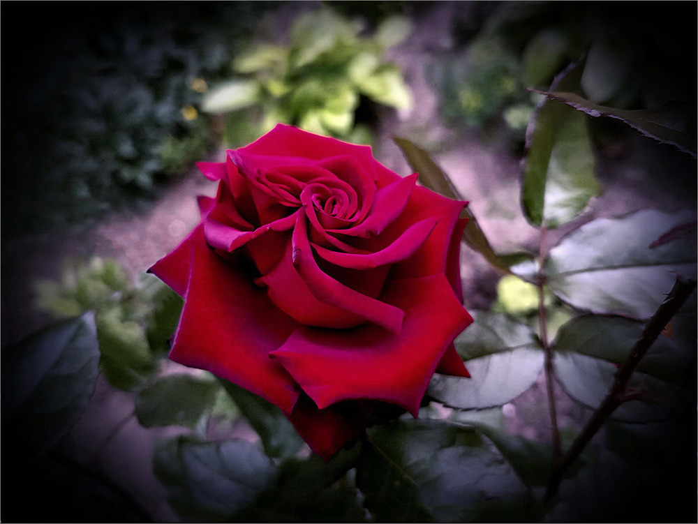 Фотографія Україна 2025. Зимове сонцестояння в Війні. / Вiктор Ревуцький / photographers.ua