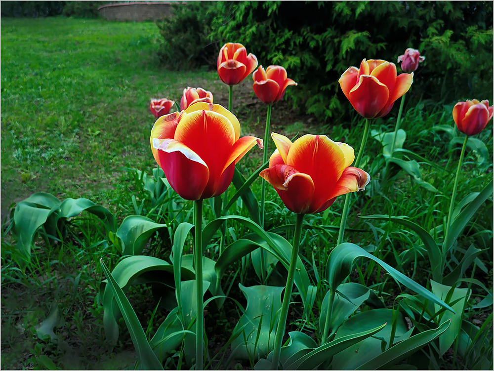 Фотографія ВЕСНА НЕЗАБАРОМ ! / Вiктор Ревуцький / photographers.ua