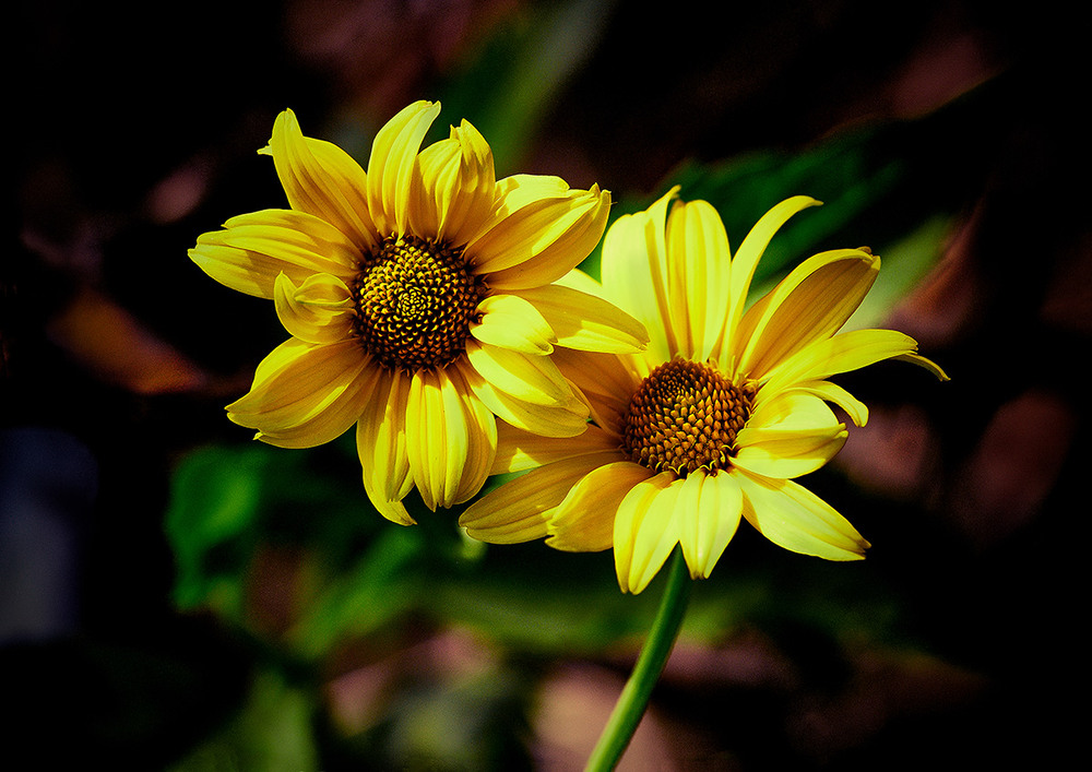 Фотографія Слава українським добровольцям! / Вiктор Ревуцький / photographers.ua