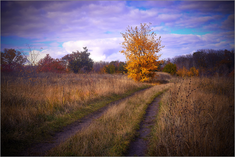 Фотографія Надія на Мир! / Вiктор Ревуцький / photographers.ua