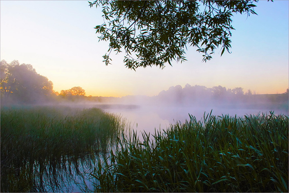 Фотографія _Добрий ранок Україно !_ / Вiктор Ревуцький / photographers.ua