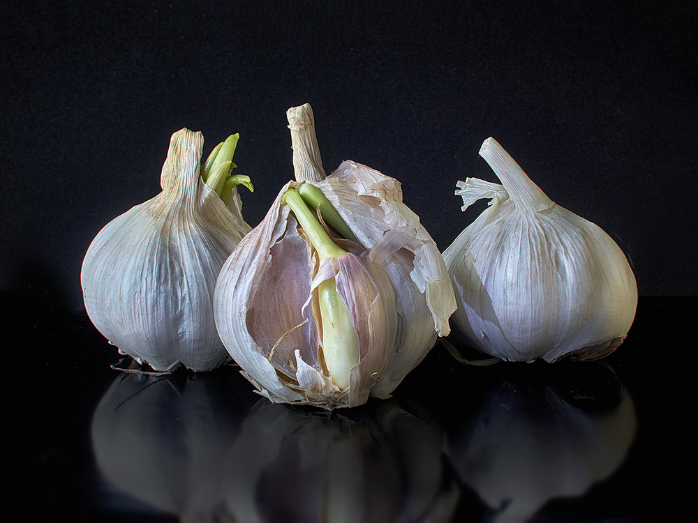 Фотографія Їсти часник взимку - це правильно! / Вiктор Ревуцький / photographers.ua