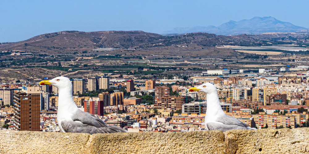 Фотографія Путешествие / Olena Pachkolina / photographers.ua