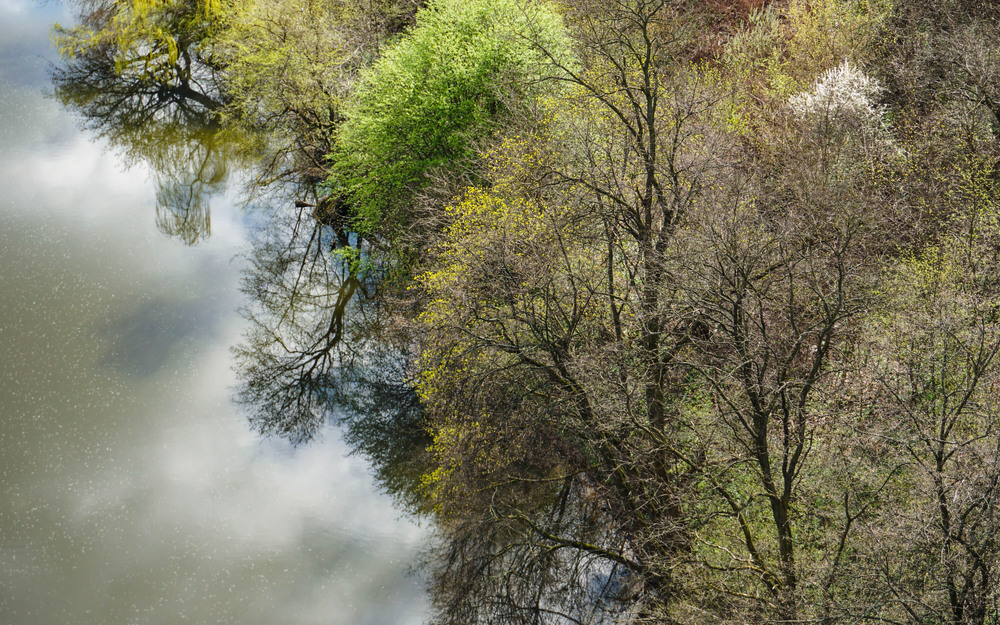 Фотографія Віддзеркадення / Olena Pachkolina / photographers.ua