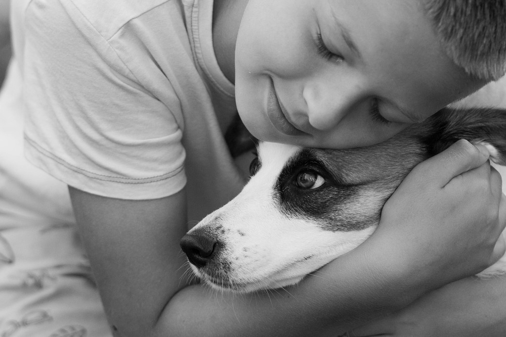 Фотографія Зустріч / Olena Pachkolina / photographers.ua