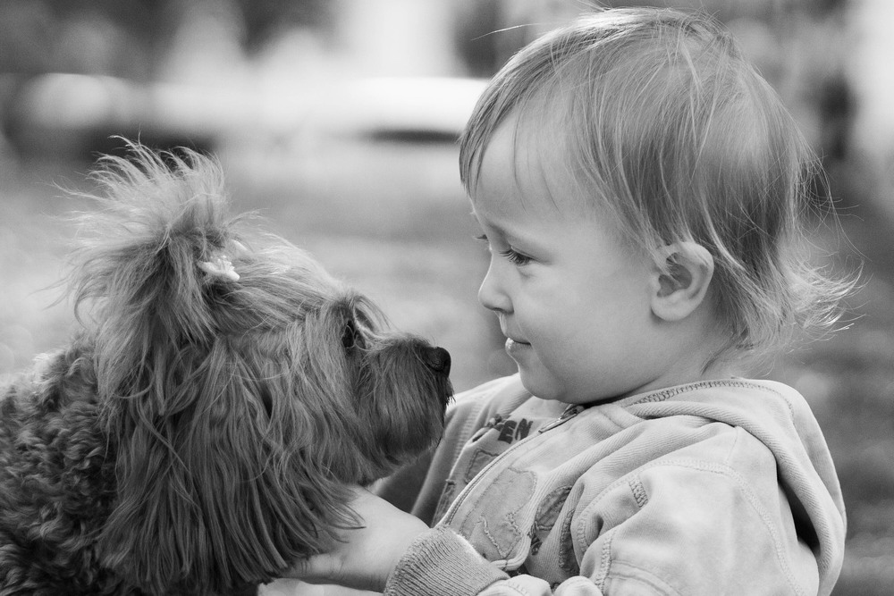 Фотографія Дві подружки / Olena Pachkolina / photographers.ua