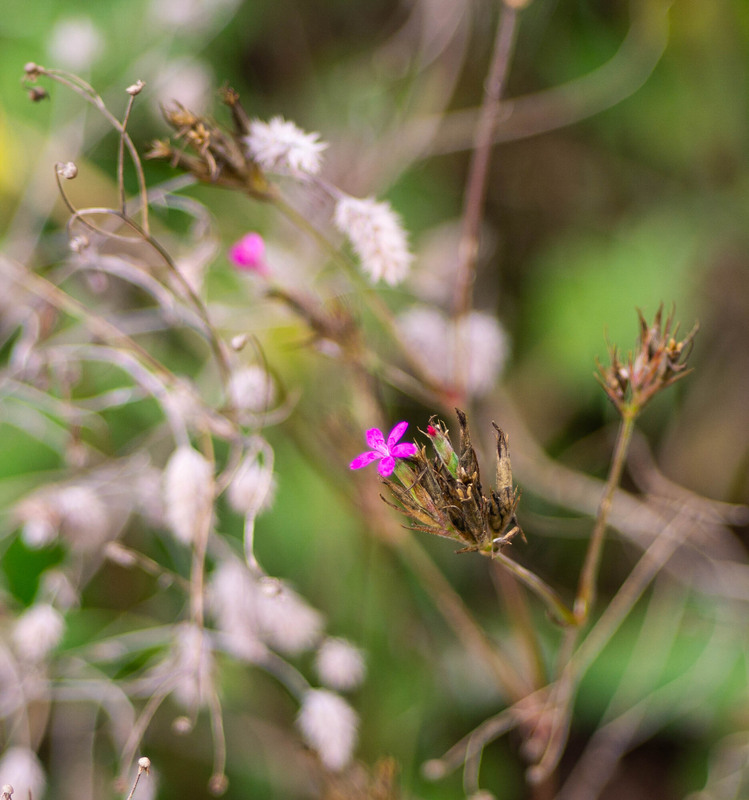 Фотографія З серії "Осінні начерки" Жовтень / Olena Pachkolina / photographers.ua