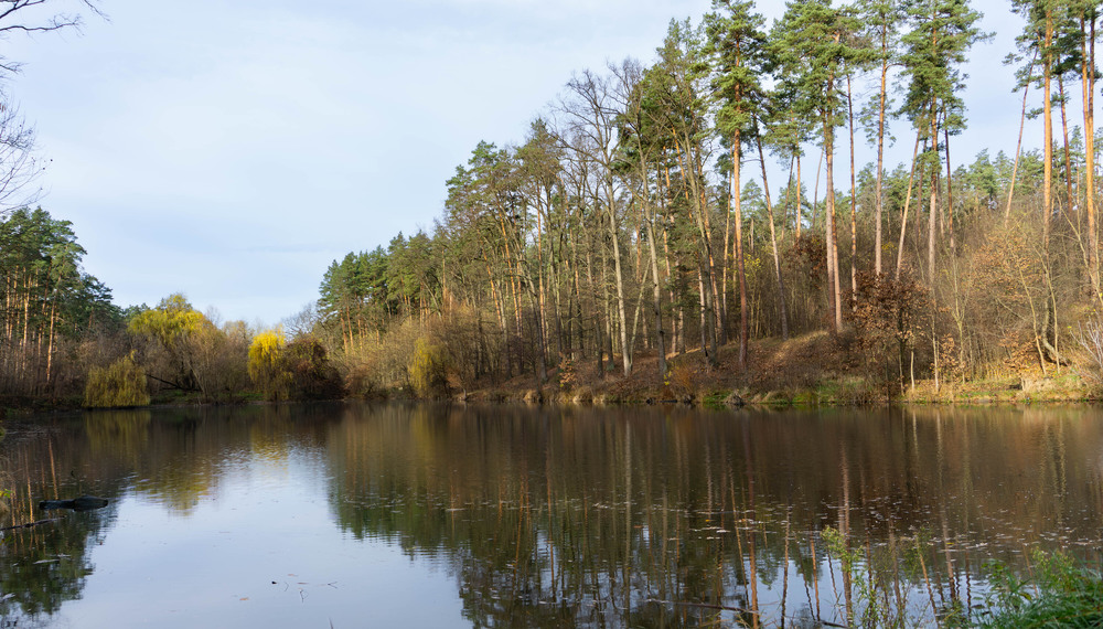 Фотографія З серії осінні начерки, Листопад / Olena Pachkolina / photographers.ua